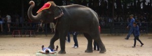 thailand11thumb