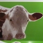 cow